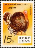 (1979-101) Марка Северная Корея "Индейка"   Зоопарк в Пхеньяне III Θ